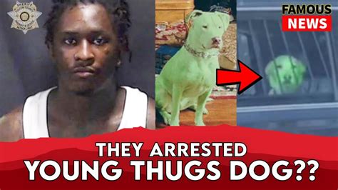 ysl green dog arrested|How Young Thug’s YSL Trial Ended Suddenly .